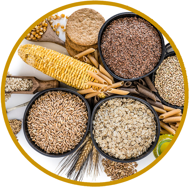 غلات و دانه ها